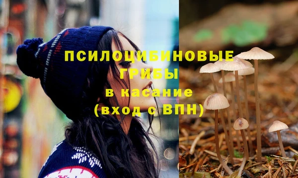 амф Баксан